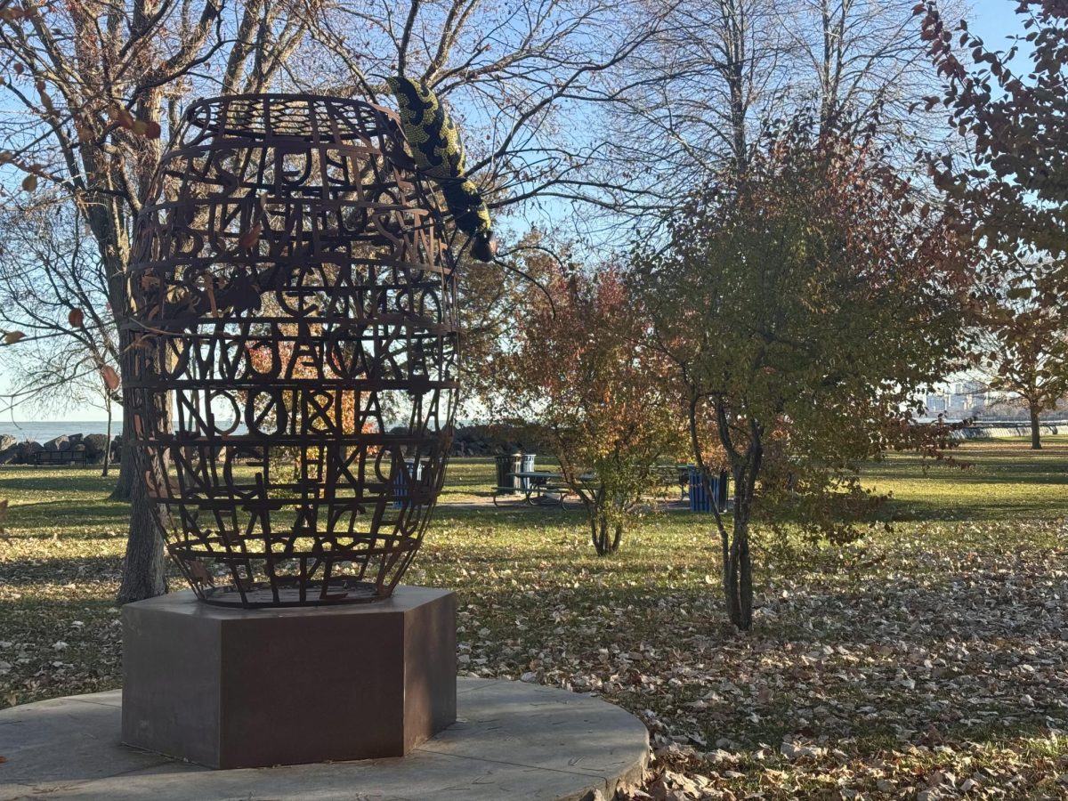 A photo of a park