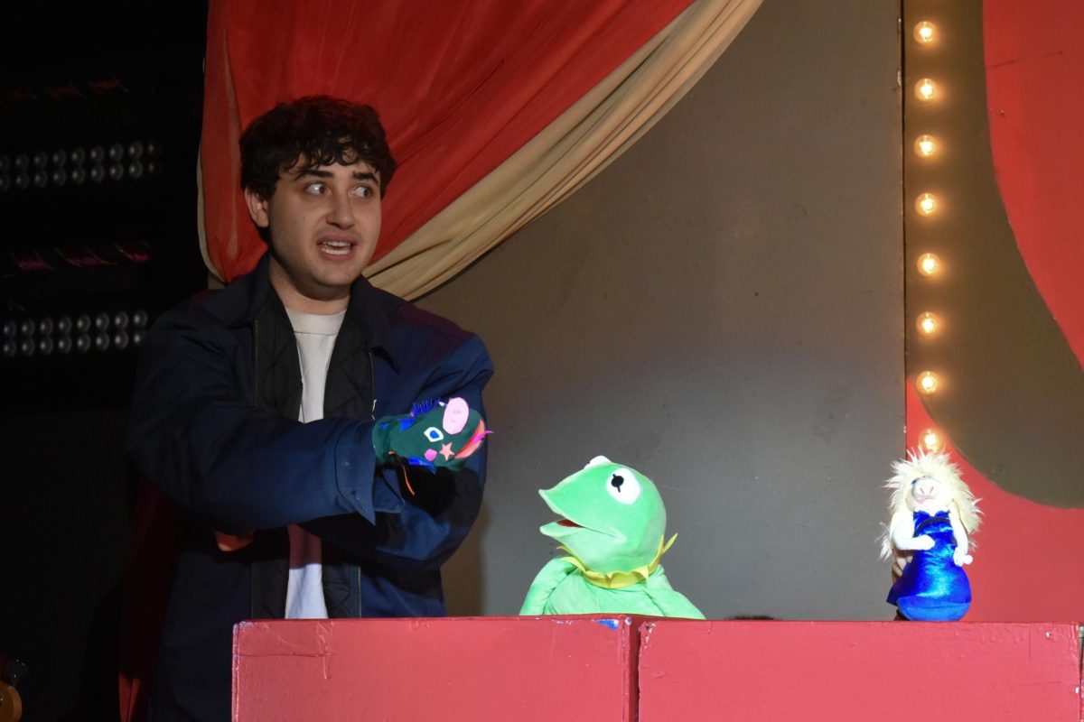 A performer operates a hand puppet onstage.