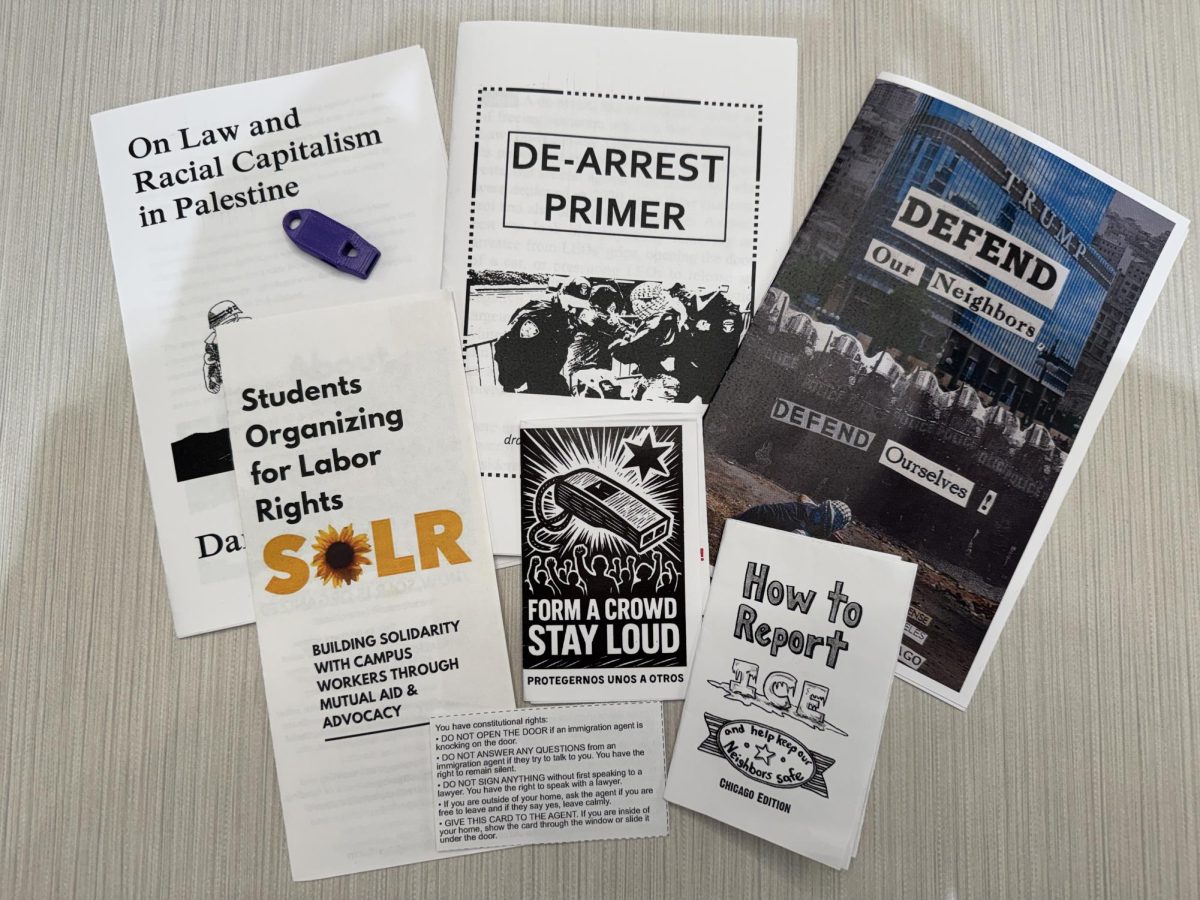 Purple Sanctuary distributed masks, zines and whistles at the training. 