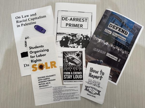 Purple Sanctuary distributed masks, zines and whistles at the training.