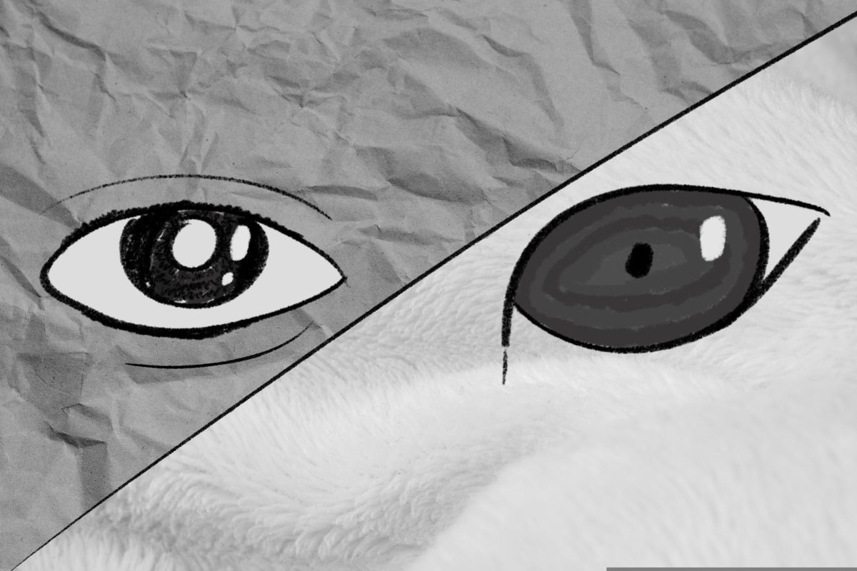 Two eyes on crinkled paper and a fur-like background
