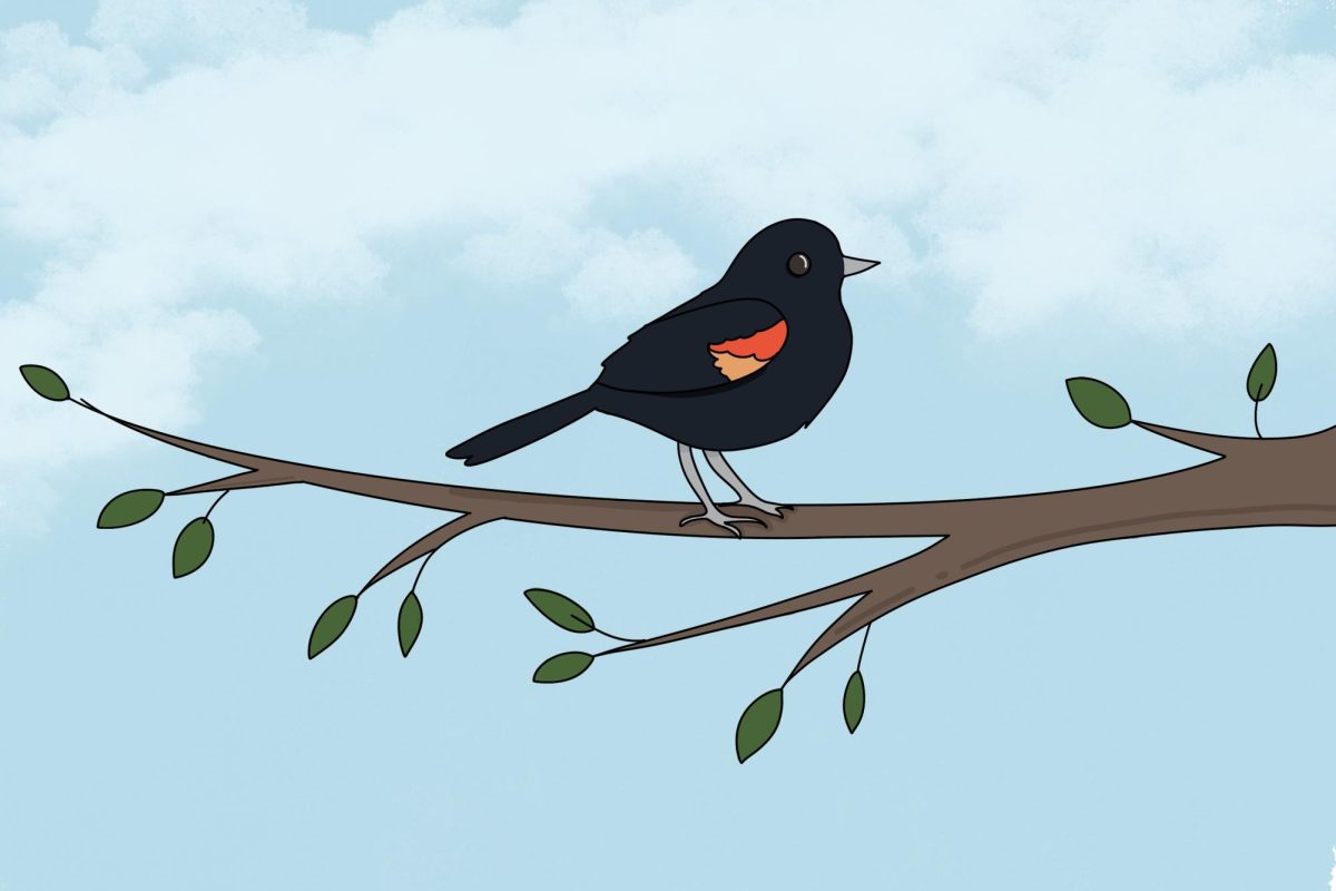 An illustration of a bird perched on a branch.