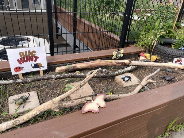 A raised bed garden with sticks on top of the dirt.