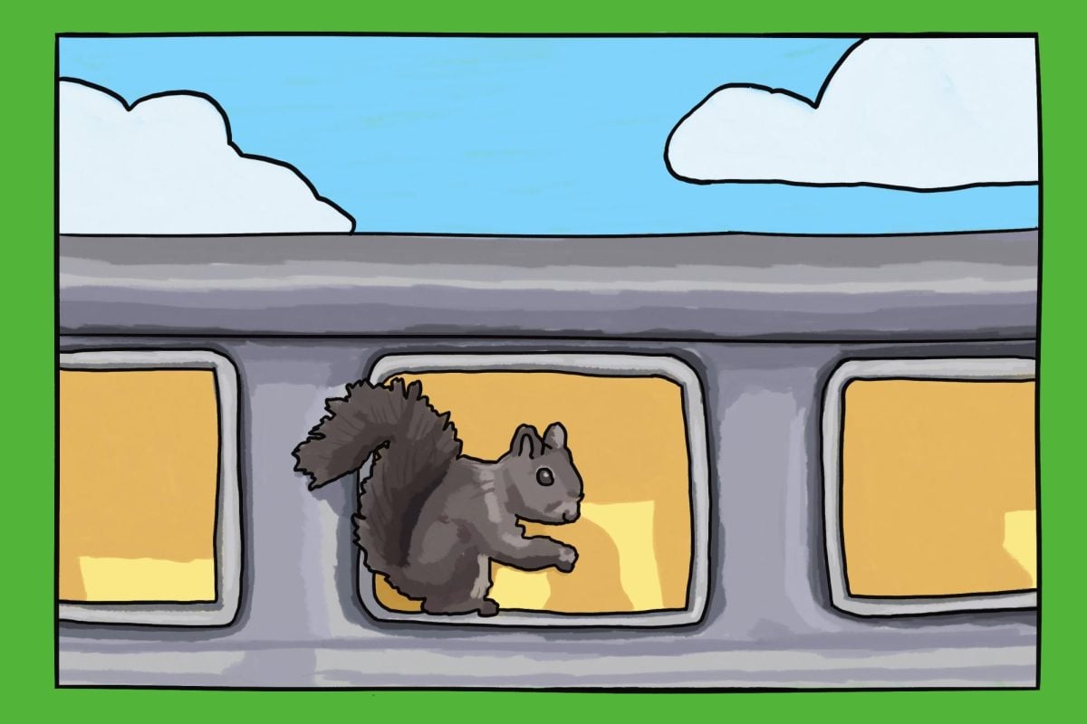 A squirrel is pictured against a grey vehicle.