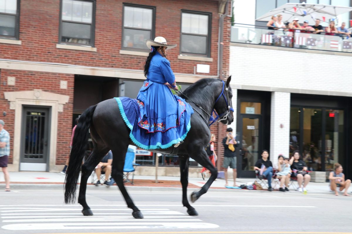 A person on a horse rides down the street.